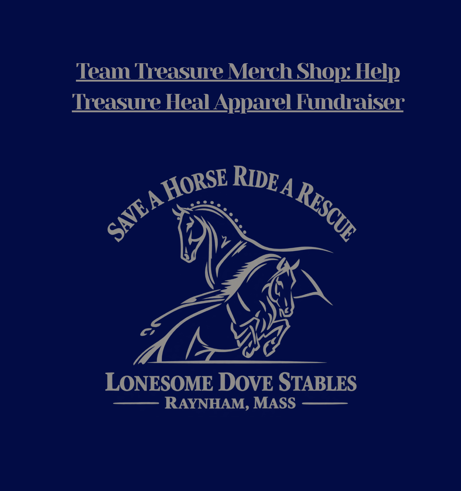 Team Treasure Merch Shop logo
